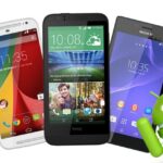 Montana Website Design